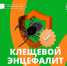Зима — лучшее время для вакцинации от клещевого энцефалита. - Великоустюгский муниципальный округ