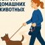 Важное напоминание для владельцев собак в Вологодской области. - Великоустюгский муниципальный округ