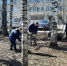 В сердце Великого Устюга притаился небольшой, но значимый уголок — Воскресенский сквер. - Великоустюгский муниципальный округ