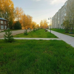 Реализацию Народной программы Единой России накануне обсудили в Вологде